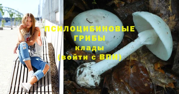 СК Абаза