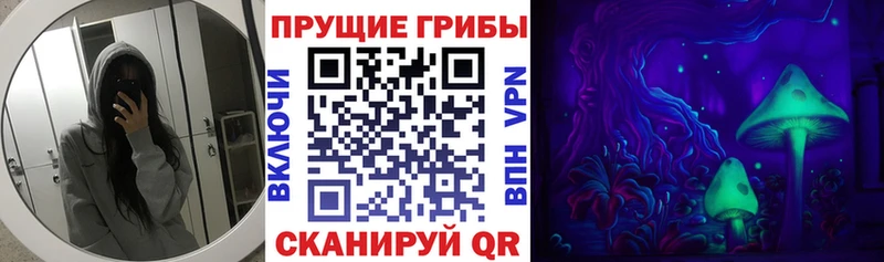 Галлюциногенные грибы Psilocybine cubensis  мориарти как зайти  Безенчук 